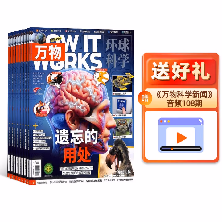 《 万物》环球科学杂志(how it works 中文版) 8-15岁科普杂志 2025年11月~26年10月共12期 双重优惠折后¥198
