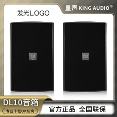 皇声音响（HUANG SHENG）皇声KingAudio/ DL10音箱 卡拉OK包房清吧KTV酒吧10英寸音箱一对 DL10音箱（10寸）