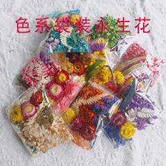 妃伶（fiyling）永生花干花材料包diy混合袋装 儿童手工节日滴胶相框团扇真花装饰 袋装款混发（随机一包）含胶水