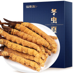 福东海 冬虫夏草 青海高海拔虫草 精选品质 冬虫夏草1克 干断草