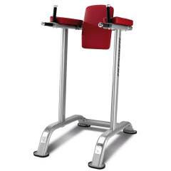 必艾奇（BH）双杠提膝训练器L800原装进口商用健身器材