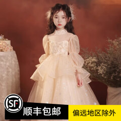 乖奇奇（ALERTCHYCHY）女童礼服花童婚礼小女孩公主裙儿童高端主持人钢琴演奏演出服秋冬 香槟色长袖长款 110