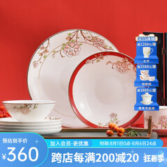 华光国瓷 骨瓷餐具碗碟套装 中国风餐具碗盘碟勺 一人食多人餐具 锦色 锦色 12头餐具