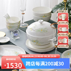 华光国瓷 骨瓷餐具套装 抗菌釉中彩碗盘套装 乔迁之喜高端礼品 白玉兰 白玉兰【抗菌瓷礼盒装】 30头