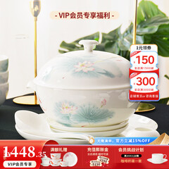 华光陶瓷碗套装 抗菌骨瓷餐具 釉中彩碗碟套装家用中式 春江水暖 春江水暖 46头礼盒装【抗菌瓷】
