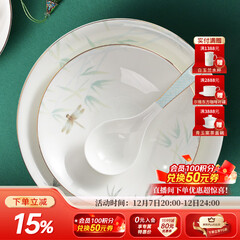 华光国瓷 骨瓷餐具碗碟套装 陶瓷碗盘家用  描金轻奢餐具整套 青亭 12头礼盒装