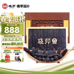 晓芹大连淡干海参 88g 28-32头 辽刺参 海参干货 海参礼盒