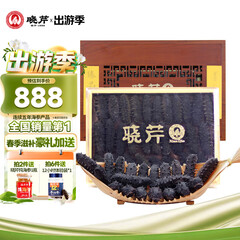 晓芹大连淡干海参 88g 28-32头 辽刺参 海参干货 海参礼盒