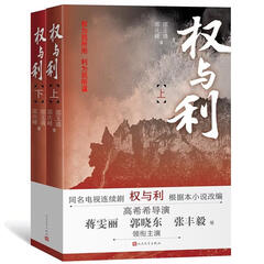 权与利(上下册)/同名电视剧原著小说