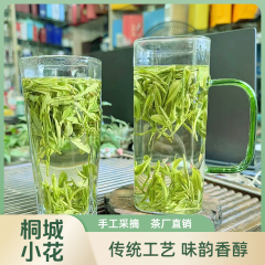 鸽妹自家茶园桐城小花茶叶2025年新茶春茶高山绿茶明后正宗杨头茶叶 500g罐装
