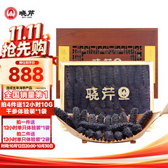 晓芹大连淡干海参 88g 28-32头 辽刺参 海参干货 海参礼盒