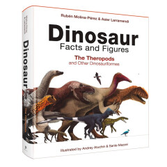 现货Dinosaur Facts and Figures英文原版恐龙百科画册:兽脚亚目和其他恐龙形目
