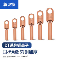 蓉贝特 铜鼻子10mm²电缆线接头线鼻子铜接线端子铜接头DT-10 1个