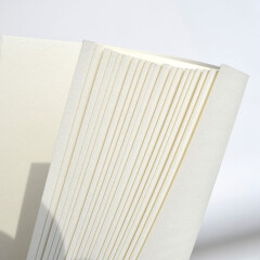 温莎牛顿 画家专用素描纸 原木浆耐擦速写纸本 水粉纸 20张4K尺寸