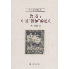 文学史研究丛书·鲁迅：中国“温和”的尼采