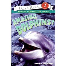 Amazing Dolphins! 进口儿童绘本