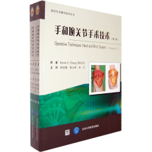 手和腕关节手术技术（套装共2卷）