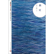 朝内166人文文库·中国当代长篇小说：新星