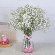 干花家居装饰摆件真花满天星干花花束带花瓶客厅茶几电视柜摆设 白色满天星 不带花瓶