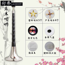 LACHOUFFE 唢呐乐器全套初学者D调成人大嗦呐小锁喇铄呐民间喇叭 乌木D白碗+ 7大礼品