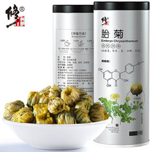 修正胎菊 茶叶菊花茶 花草茶正宗桐乡杭白菊王散装凉茶 特级胎菊