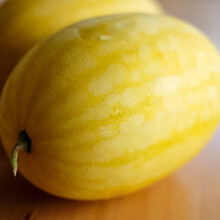 寿禾黑美人西瓜种子大果水果种子特甜早熟特大瓜种8-13斤寿光蔬菜瓜果春季种籽西瓜籽 安生黄美人种子 20粒（黄皮黄瓤）