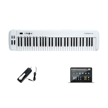 SAMSON山逊 MIDI键盘控制器Graphite 49/M25半配重Carbon 61合成器 Carbon 61+延音踏板+音源软件