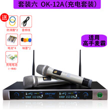 先科无线话筒一拖二家用唱K歌连电视手持麦克风套装一体机金属u段调频舞台会议KTV专业带功放机接收器 高手麦霸标准版+充电套装 官方标配