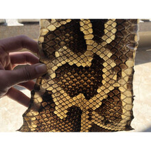 厂家直销缅甸蟒皮尾巴根中胡皮二胡皮乐器配件坠琴二弦皮满 C系 中间宽14-15