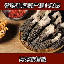 滇藏本草 羊肚菌 云南香格里拉 特产菌 干货 牛肚菌 煲汤红烧材料 食用菌  100克