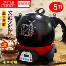 飞鹿万尔（WanEr）陶瓷中药壶全自动分体中医煎药煲凉茶煲养生电砂锅汤煲3L/4L/5L/6L 5升药煲（含底座）