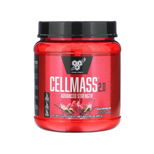 BSN必胜 锻炼浓缩配方粉 西瓜 485克 健身增重增肌肥人减脂瘦人增重锻炼美国进口氮泵 西瓜味 485克