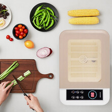 圈厨果蔬消毒清洗机KY-1918