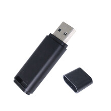 DaFonQi 招投标u盘128m512m1G2G4G32G64G小容量投标专用优盘（招标书 礼品） 塑料优盘 32M