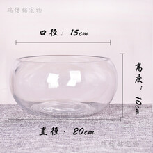 免换水鱼缸水族箱透明玻璃小型乌龟桌面金鱼缸家用客厅圆形小鱼缸 20号裸缸
