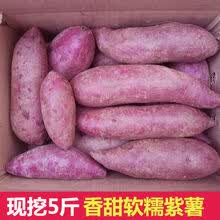 沙地紫薯9斤新鲜当季番薯农家自种板栗小地瓜香红薯山芋蔬菜 3斤小果