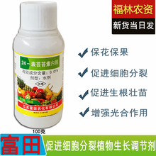 富田24-表芸苔素内酯 缓解药害0.01%农药促进根系生长提升产量促进生长调节剂 1瓶 100克l/瓶