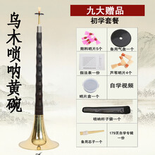 米囹 唢呐乐器d调全套演奏红木/乌木杆初学者成人唢呐 乌木D调黄碗+九种
