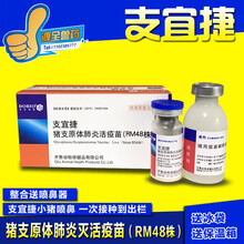 猪疫苗伪狂犬链球菌大肠杆菌传胸乙脑细小支原体圆环口蹄蓝耳 西蜀农大 齐鲁支原体10头份1瓶价
