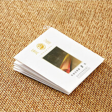 朱雀古筝琴弦红弦旗舰店通用专用标准琴弦古筝1-21弦德国进口钢丝尼龙弦 朱雀6弦