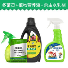 坤宁王真菌病害农药黑腐烂根霉菌病害霜霉病农药百菌清杀菌药剂多菌灵霜霉病枯萎病盆栽植物杀菌剂 多菌灵50g营养液套装+花卉杀虫