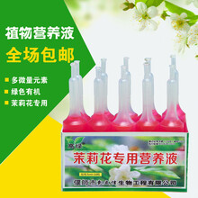 茉莉花植物营养液 液体肥料 盆栽花卉土培通用型 花肥 叶面肥 1支5ml
