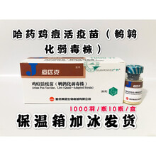 鸡痘活疫苗 鸡疫苗禽用疫苗 哈药集团 痘匹克 小鸡疫苗 兽用 疫苗(10瓶价)+刺针