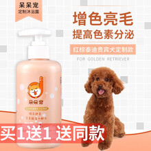 【2瓶装】呆呆宠 狗狗沐浴露泰迪金毛萨摩耶法斗巴哥幼犬专用比熊洗澡液香波杀螨除菌杀菌除臭宠物用品 红棕泰迪贵宾犬定制款 新包装2瓶装