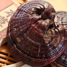 鹤顺堂 紫灵芝整枝灵芝片长白山灵芝煲汤泡酒泡水 紫灵芝 250g