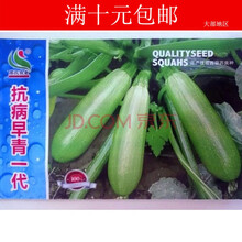 TLHHLZ成品袋装蔬菜种子盆栽水果阳台种菜庭院食用蔬菜盆栽种籽菜籽草莓辣椒番茄黄瓜西红柿籽小葱 西葫芦
