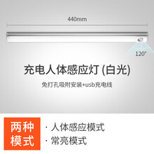 大九卫 无线镜前灯充电镜前灯免打孔粘贴浴室镜灯化妆镜灯免钉可充电感应镜前灯 【白光款】440mm+usb充电线