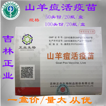 吉林正业 山羊痘疫苗 羊痘 正业羊痘疫苗 50/100头份 兽用 50头份/20瓶