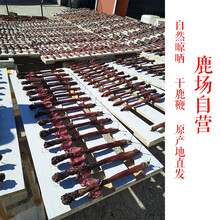 鹿场 新鲜鹿鞭 整条 干鹿鞭 整枝 成年干鹿鞭一条 干鹿鞭-未成年小鹿鞭