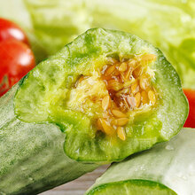 羊角蜜瓜种籽甜瓜苗脆瓜瓜种酥四季种孑冬季种植山东水果瓜类种子 羊角蜜甜瓜苗 10棵